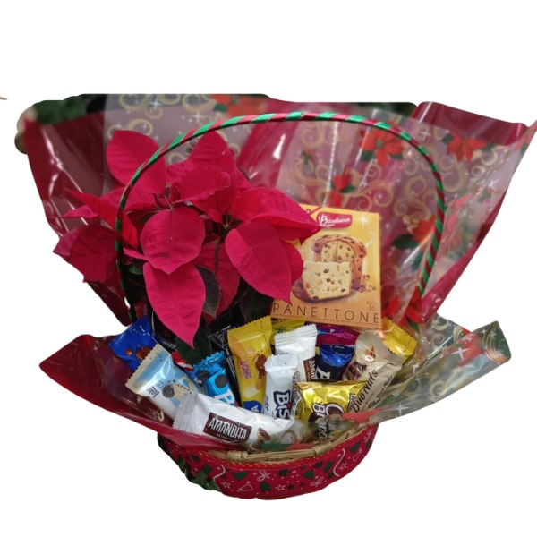 Mini Cesta Especial de Natal