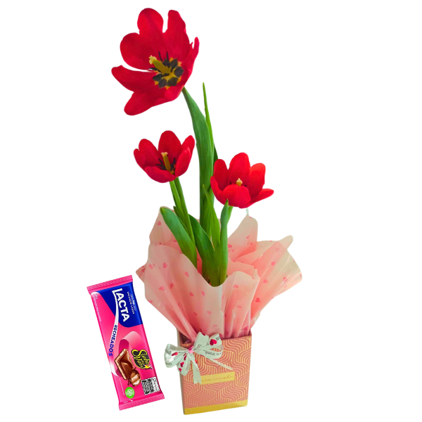 Tulipa no Cachep Com Carinho e Barra Sonho de Valsa