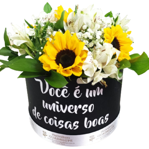 Box Luxo com 6 Girassis