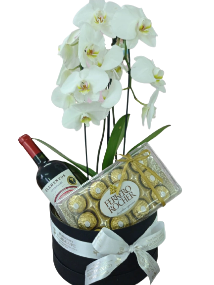 Box Luxo Orqudea